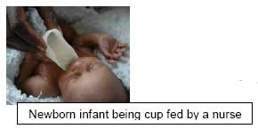 Newborn Infant being cup fed by nurse